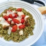 Chicken pesto grain bowl with fresh basil pesto, cherry tomatoes, and farro in a white bowl topped with parmesan cheese.