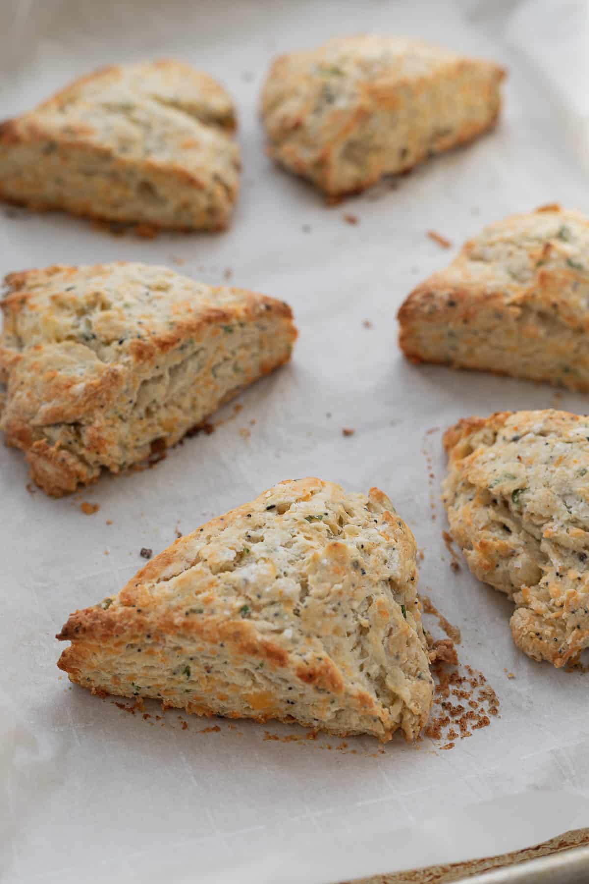 savory scones on a baking sheet out of the oven
