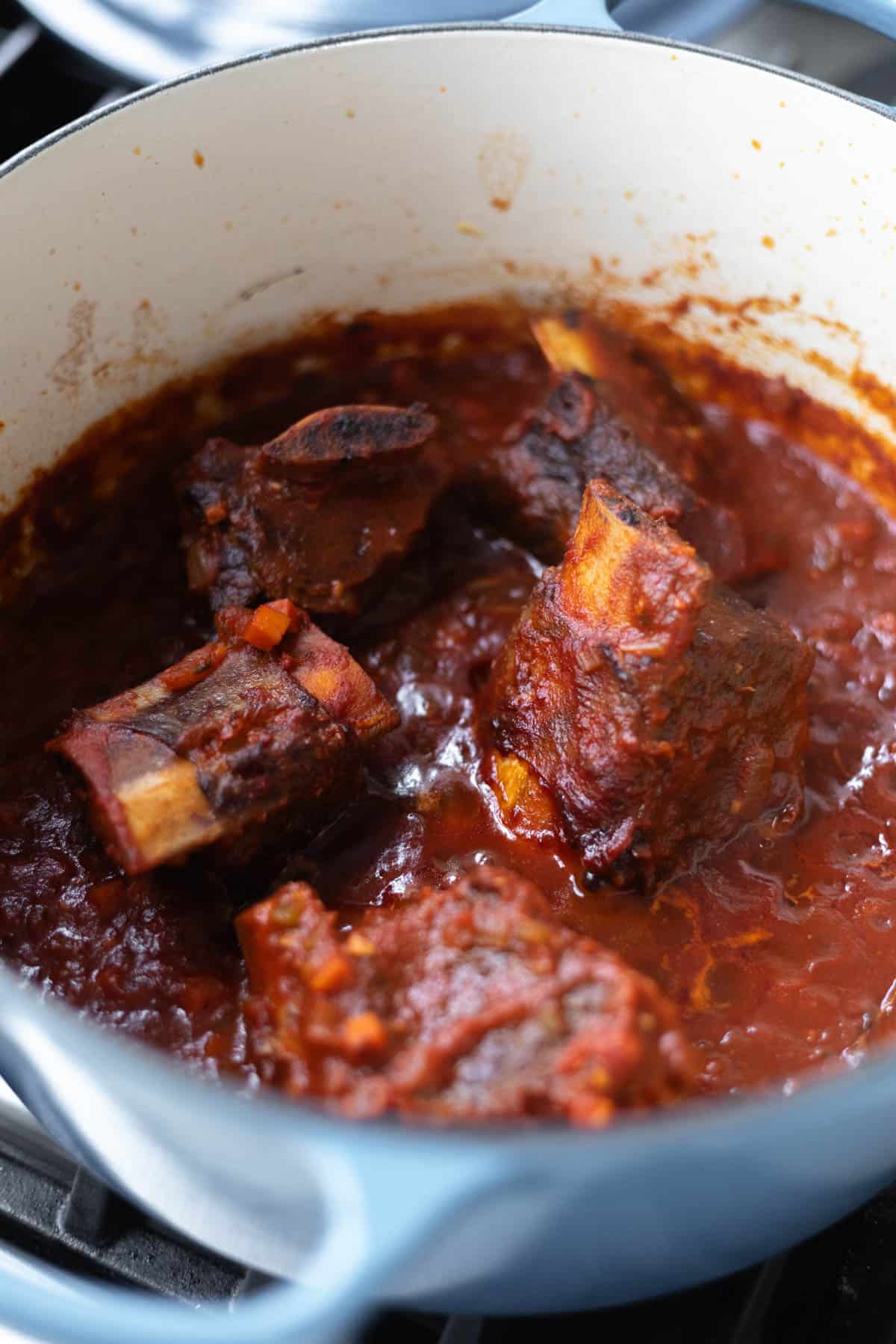 short ribs in tomato and red wine sauce cooking